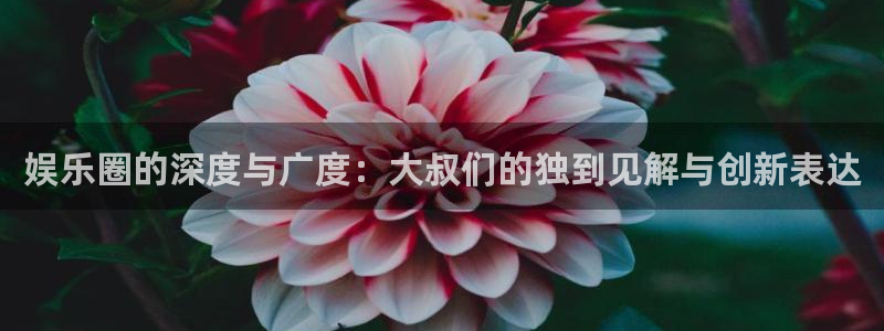 赢咖1平台网址：娱乐圈的深度与广度：大叔们的独到见解与创新表达