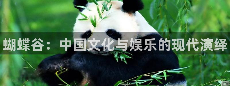 赢咖官方：蝴蝶谷：中国文化与娱乐的现代演绎