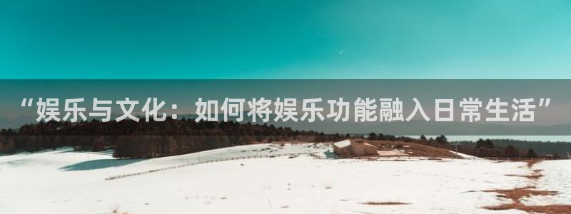 赢咖2：“娱乐与文化：如何将娱乐功能融入日常生活”