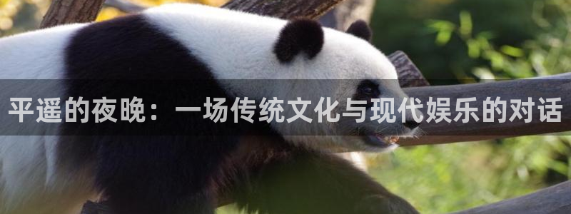 赢咖5注册：平遥的夜晚：一场传统文化与现代娱乐的对话