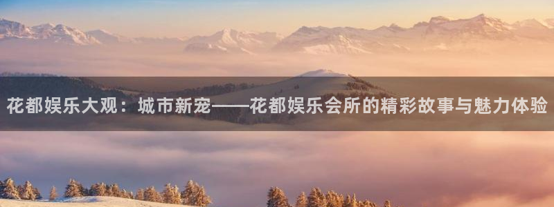 赢咖5：花都娱乐大观：城市新宠——花都娱乐会所的精彩故事与魅力体验