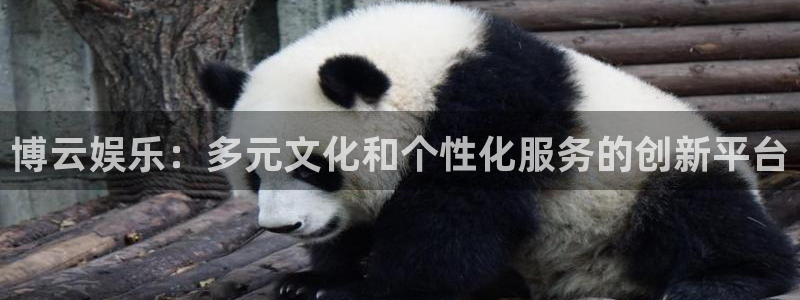 赢咖3主管招商咨询服务平台：博云娱乐：多元文化和个性化服务的创新平台
