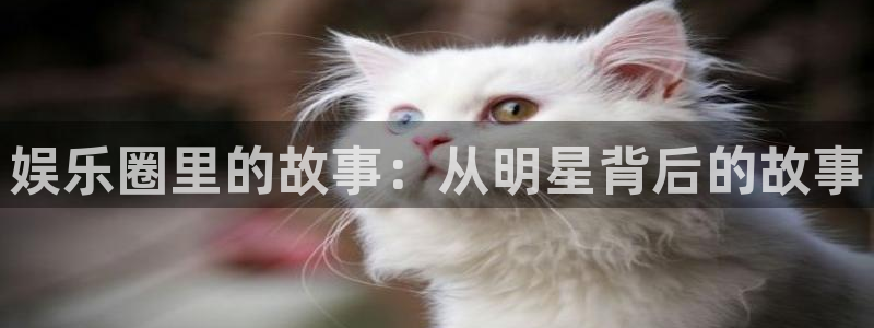 赢咖3：娱乐圈里的故事：从明星背后的故事