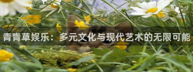 赢咖4注册：青青草娱乐：多元文化与现代艺术的无限可能