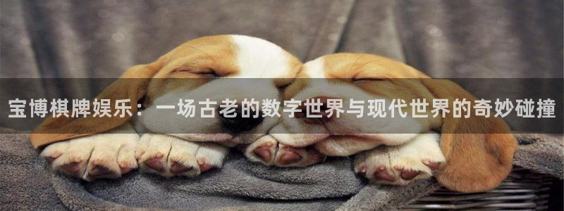 赢咖平台怎么注册：宝博棋牌娱乐：一场古老的数字世界与现代世界的奇妙碰撞
