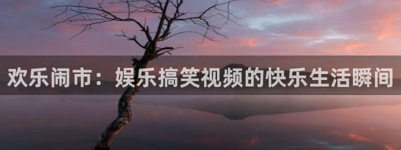 赢咖世纪娱乐：欢乐闹市：娱乐搞笑视频的快乐生活瞬间