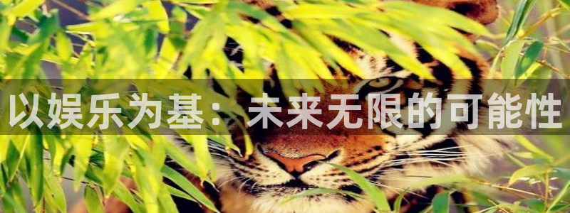 赢咖4：以娱乐为基：未来无限的可能性