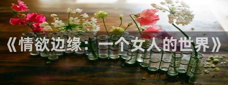 赢咖5注册：《情欲边缘：一个女人的世界》