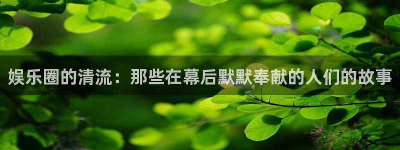 赢咖3世纪平台注册入口：娱乐圈的清流：那些在幕后默默奉献的人们的故事