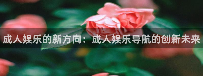 赢咖1平台网址：成人娱乐的新方向：成人娱乐导航的创新未来