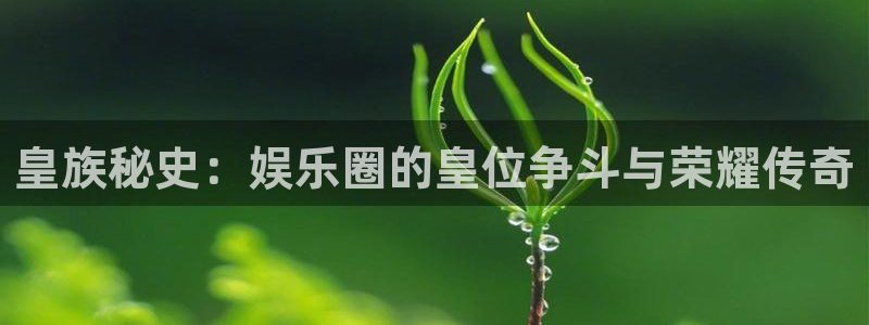 赢咖3注册：皇族秘史：娱乐圈的皇位争斗与荣耀传奇