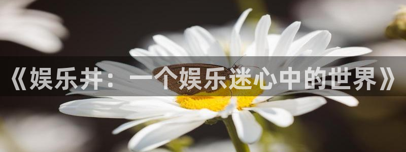 赢咖ⅱ平台：《娱乐井：一个娱乐迷心中的世界》